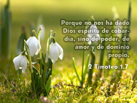Amor y dominio